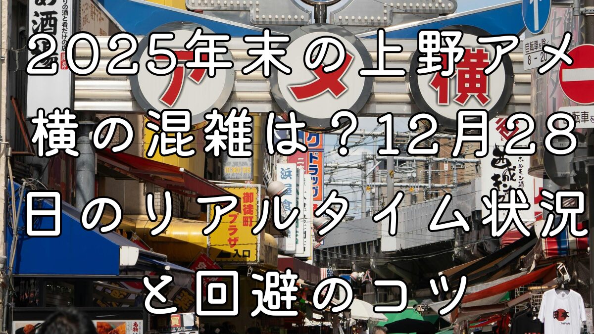 2025年末の上野アメ横の混雑は？12月28日のリアルタイム状況と回避のコツ